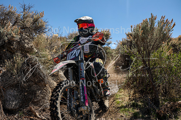 IMG_0656-112v