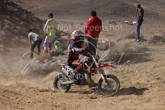 IMG_7714-66y