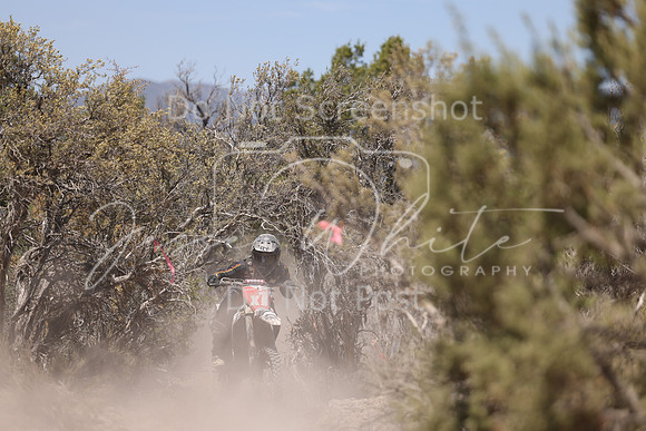 IMG_8185-x1