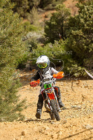 IMG_0015-10