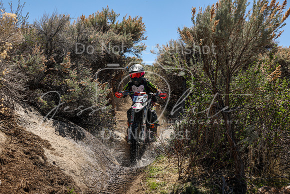 IMG_0654-112v