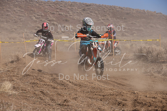 IMG_7137-11y