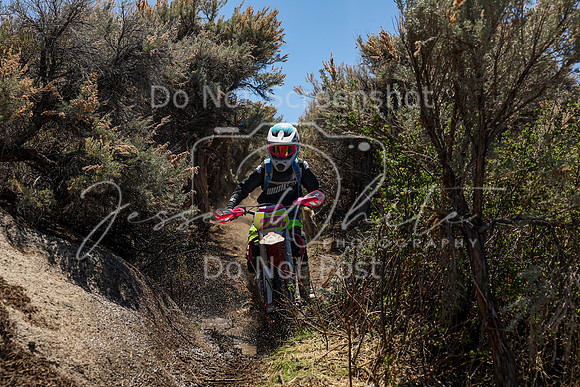 IMG_0471-227v