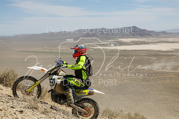 IMG_3641-n61m