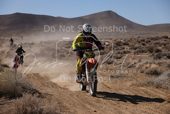 IMG_8637-802v