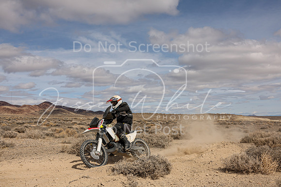 IMG_2065-99a