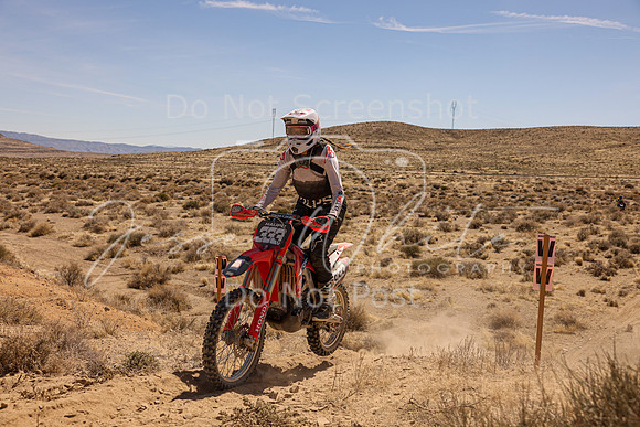 IMG_1168-333v