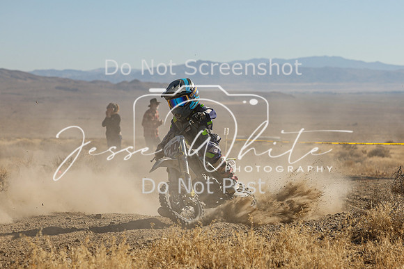 IMG_0110-210z
