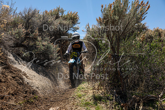 IMG_0281-224b