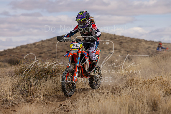 IMG_0367-93a