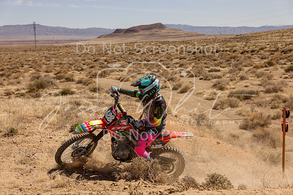IMG_1337-428v