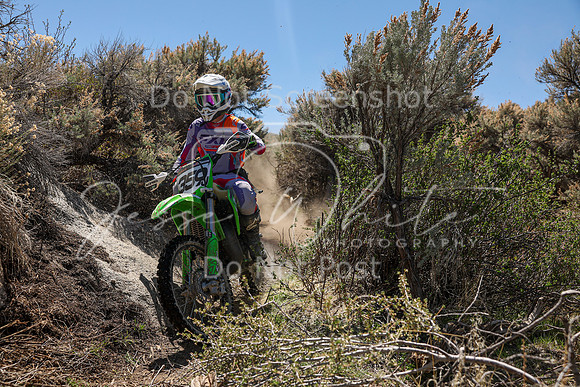 IMG_0181-359j
