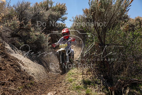 IMG_0272-124j