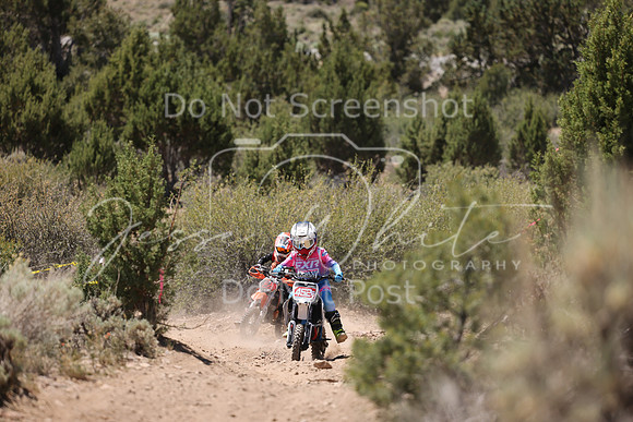 IMG_4051-452p