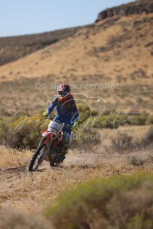 IMG_3504-474j
