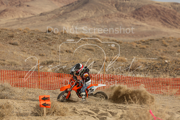 IMG_9937-4z