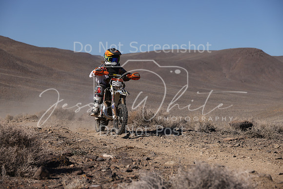 IMG_7488-981y