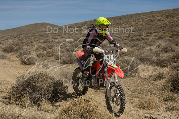 IMG_6353-474v