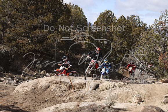 IMG_9344-nt113-n341x