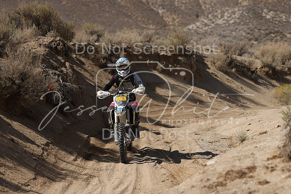 IMG_7106-321v