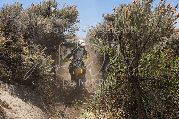 IMG_0206-14b