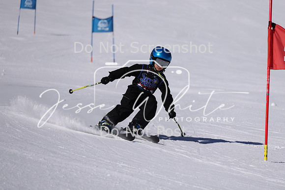 IMG_8394