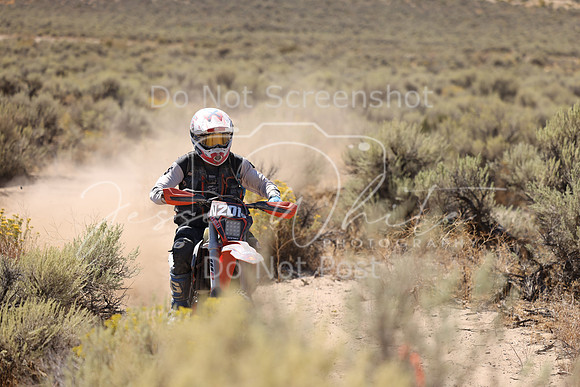 IMG_1526-n201s