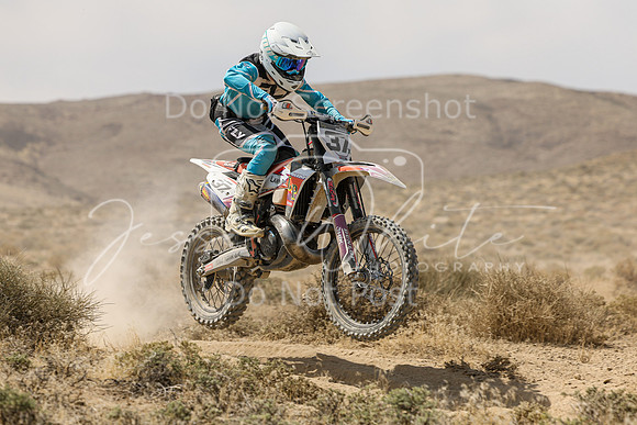 IMG_9162-37x