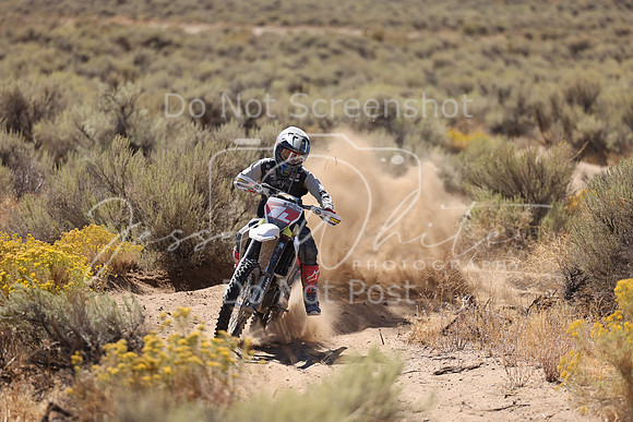 IMG_1432-1l