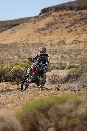 IMG_3542-322v