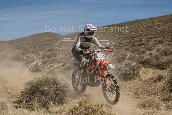 IMG_6342-333v