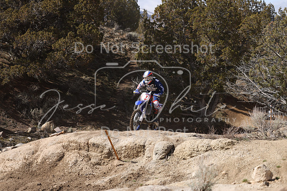 IMG_9238-x117