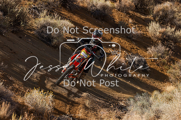 IMG_9739-222w