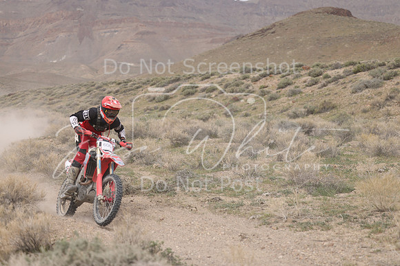 IMG_9388-60a