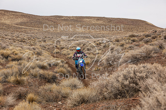 IMG_0589-214v