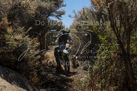 IMG_0253-8j