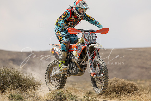 IMG_9177-311n