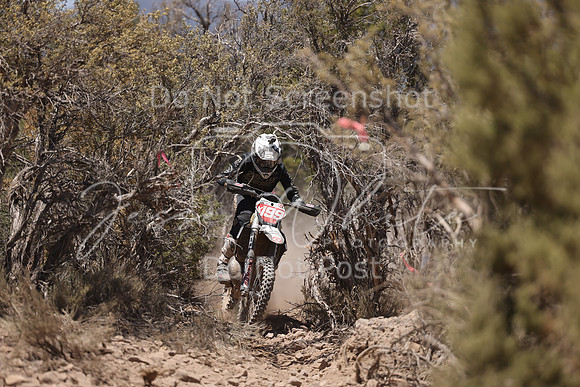 IMG_8203-x199