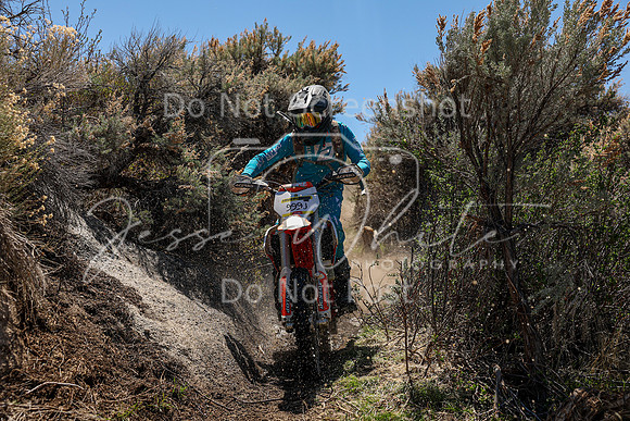 IMG_0292-999j
