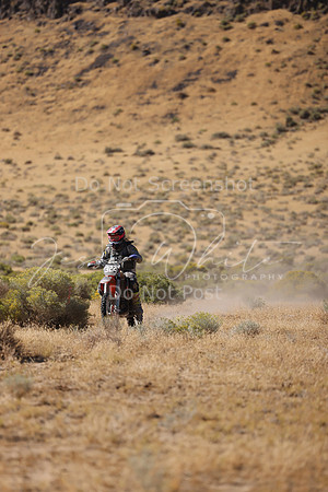 IMG_3541-322v