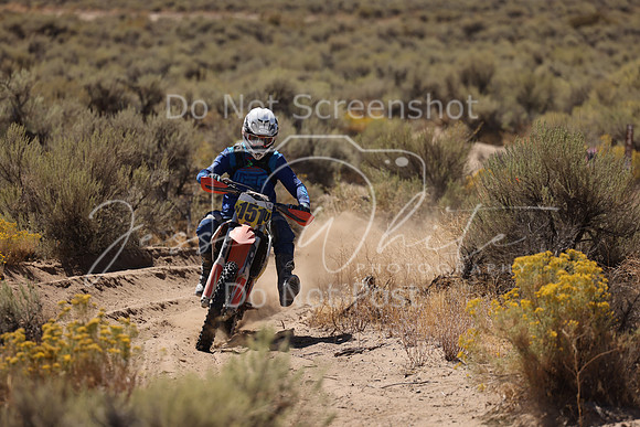 IMG_1715-n151u