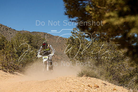 IMG_7354-464