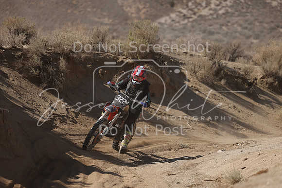 IMG_7208-322v