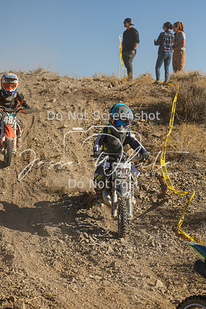 IMG_0375-210z