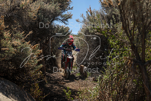 IMG_0189-25j