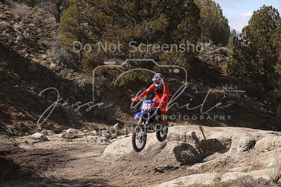 IMG_9230-x606