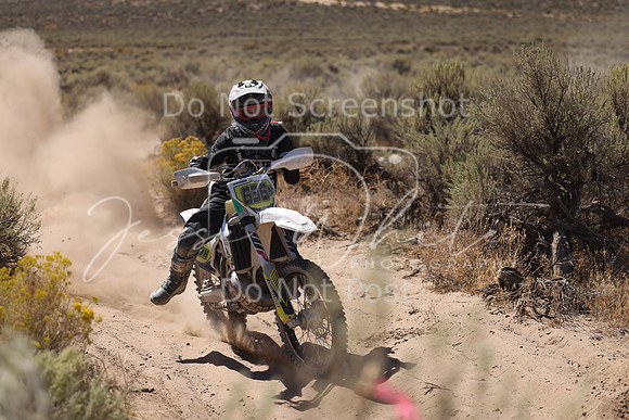 IMG_4228-636n