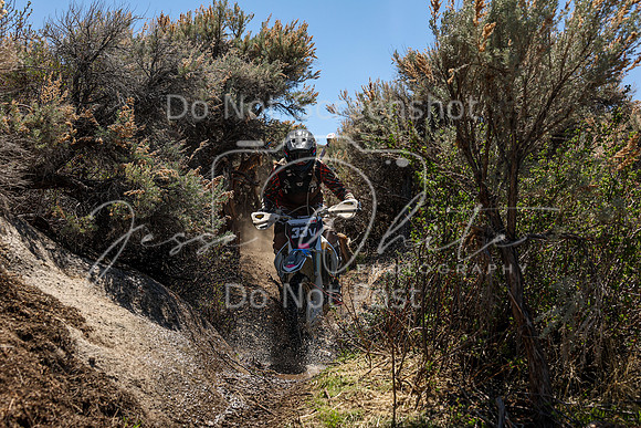 IMG_0531-33v