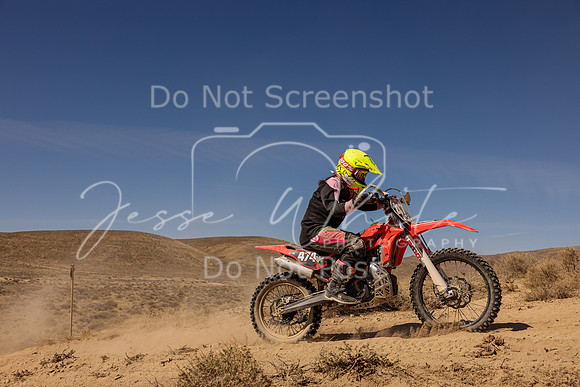 IMG_2274-474w