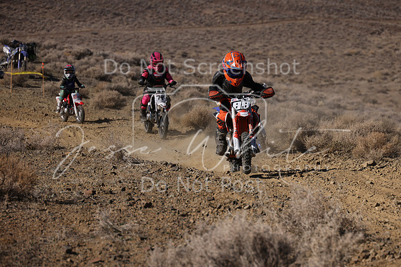 IMG_7534-88z-74f